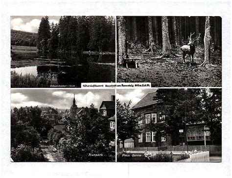 Ak H Henluftkurort Neustadt Am Rennsteig Ochsenbacher Teich Kurpark