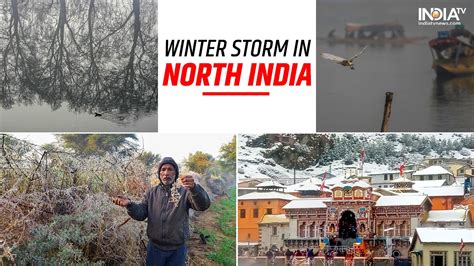 North India continues to shiver amid bone-chilling cold: These cities record sub-zero ...