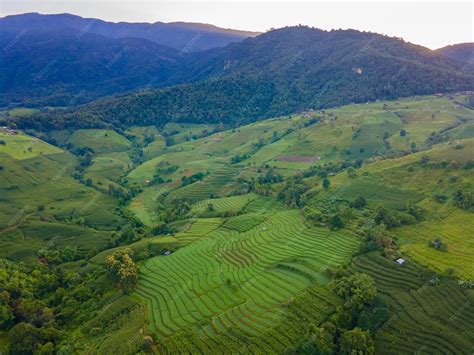 Premium Photo | Terraced rice field in chiangmai thailand pa pong piang