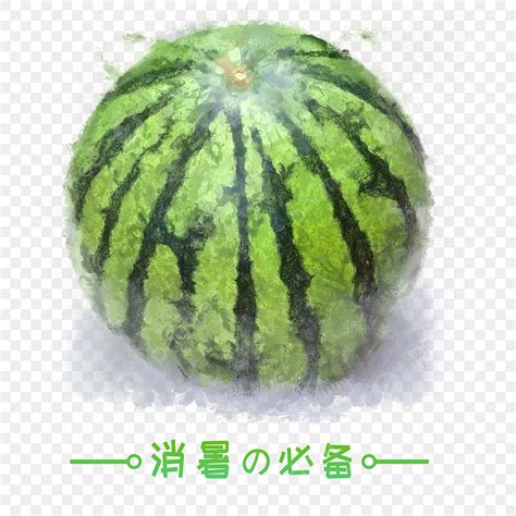 Hand Drawn Elements Hd Transparent Hand Drawn Watermelon Commercial