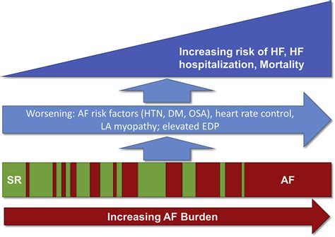 Atrial Fibrillation Burden And Heart Failure Data From