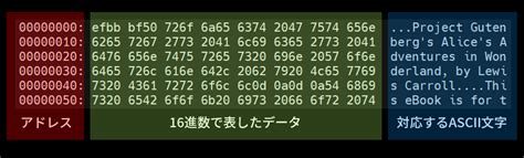 バイナリデータの解析、アーカイバ 電気情報工学実験 情報系