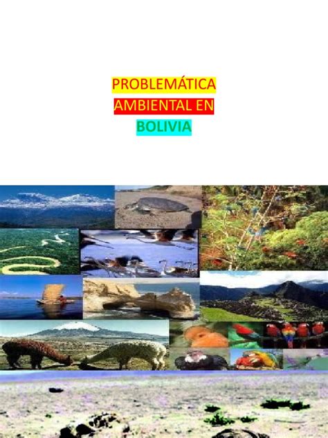 Problematica Ambiental En Bolivia Pdf