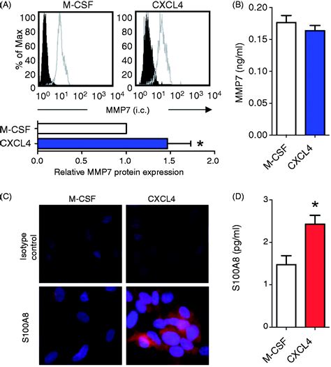 Cxcl Induced Plaque Macrophages Can Be Specifically Identified By Co