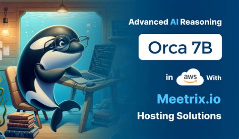 How to Install Orca 2 on AWS Via Meetrix's AMI