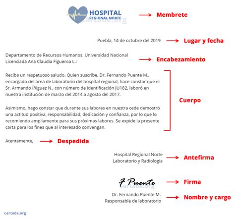 Elementos De La Carta Formatos Y Ejemplos Del 2024