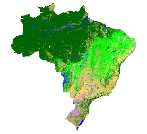 Climainfo On Twitter Vc Viu O Brasil Perdeu Milh Es De Hectares