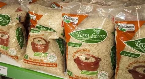 MST maior produtor de arroz orgânico do Brasil movimento vive