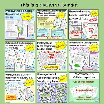 ESL Photosynthesis And Cellular Respiration Biology Unit Bundle TPT