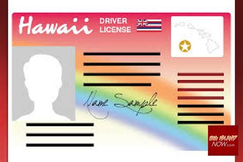 Gender Neutral Option Now Available On State IDs Drivers Licenses