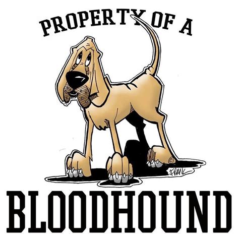 Bloodhound Cartoon / Bloodhound is a legend that is free and unlocked in the base game. - Vibra ...