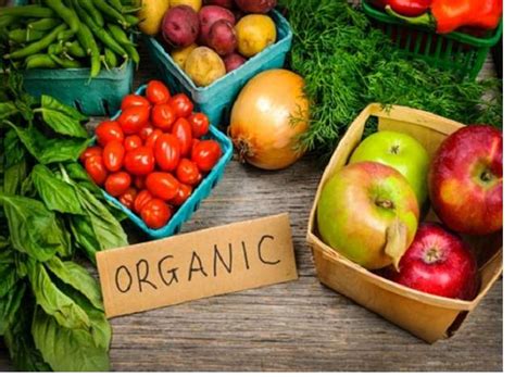 Are Organically Grown Foods The Best Food Choices