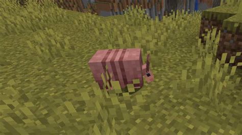 How To Find And Breed Armadillos In Minecraft