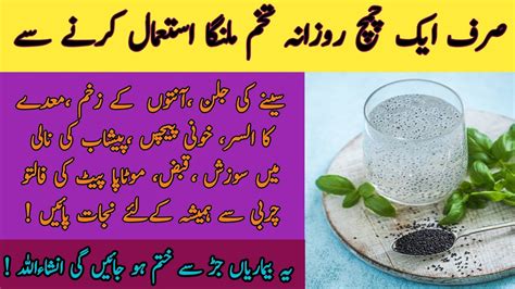 Tukh Malanga Ke Fayde In Urdu Hindi 6 Health Benefits Of Basil Seeds