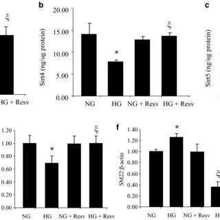 Protein Expressions Of Sirts And Mrna Expressions Of Endothelial And