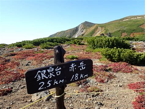 大雪山赤岳 ウサギボルト⚡さんの大雪山系・旭岳・トムラウシの活動データ Yamap ヤマップ