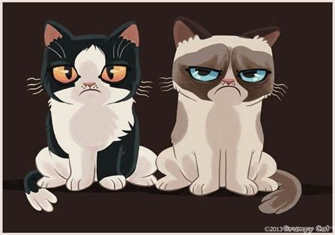 Grumpy Grumpy Cat Art Grumpy Cat Cartoon Cartoon Cat