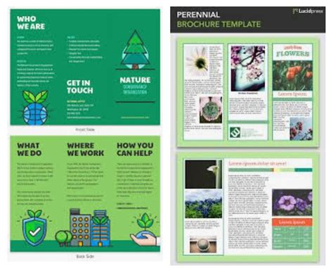 lumikha ng isang informational brochure tungkol sa papel na