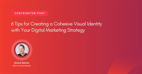 How to Create a Cohesive Visual Identity for Your Brand | Agency Vista