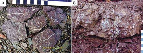 Point zones of gleization. a -in the natural outlet of the rock to the ...