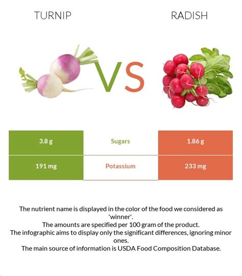 Turnip Vs Radish — Health Impact And Nutrition Comparison