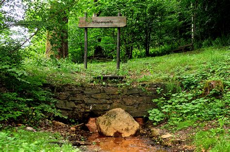 Wispertaunussteig Wisper Trails Premiumwandern Im Wispertaunus