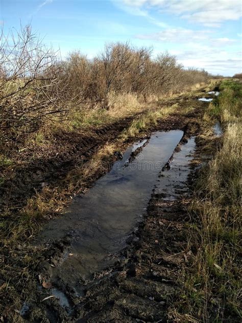 Puddles Stock Photo Image Of Dirty Road Water Naked