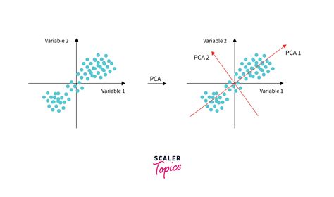 Principal Component Analysis Pca Scaler Topics