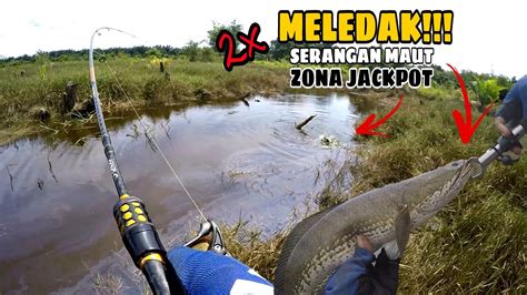 Ngeri Tenan Tak Terduga Air Yang Tenang Dihuni Ikan Ikan Besar Ii