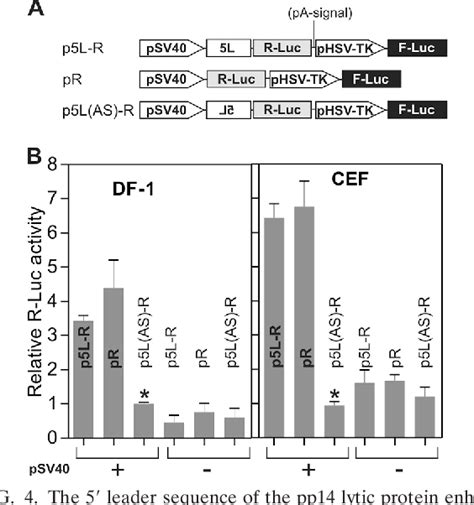 Figure 4 From The 5 Cid 1 Leader Of The MRNA Encoding The Mareks