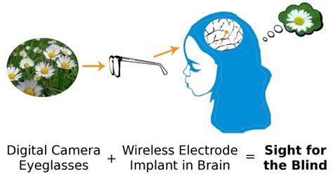 Restoring Sight To The Blind