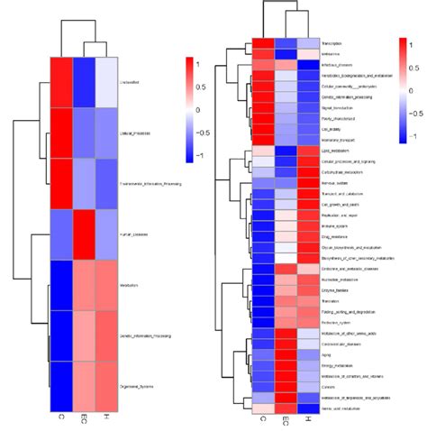 Clustering Heat Map Of Functional Relative Abundance Download Scientific Diagram