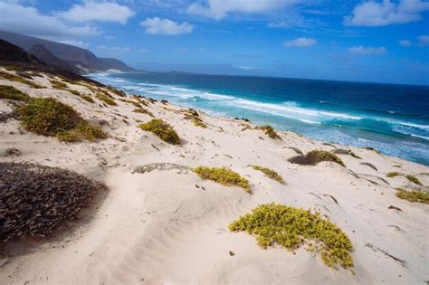 Premium Ai Image Stunning Desolate Landscape Of Sand Dunes And Desert