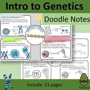 Introduction To Genetics Doodle Notes By Biologystem Tpt