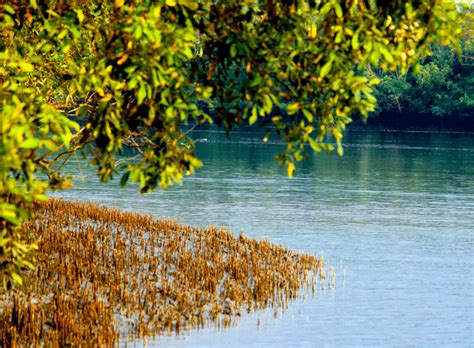 Baishal Bagerhat Sundarbans Tour Best Tour Operator In Bangladesh