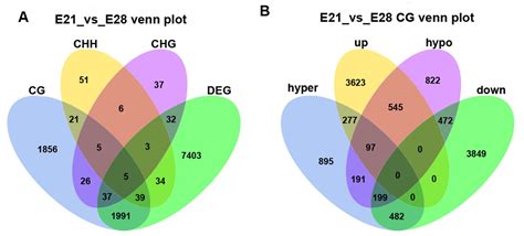 Ijms Free Full Text The Integration Of Genome Wide Dna Methylation