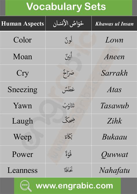 Basic English Arabic Words List You Must Know Artofit