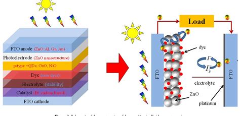 Dye Sensitized Solar Cell Using Natural Dye