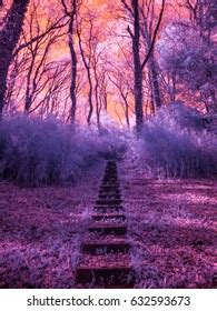 Invisible Naked Eye Images Stock Photos Vectors Shutterstock