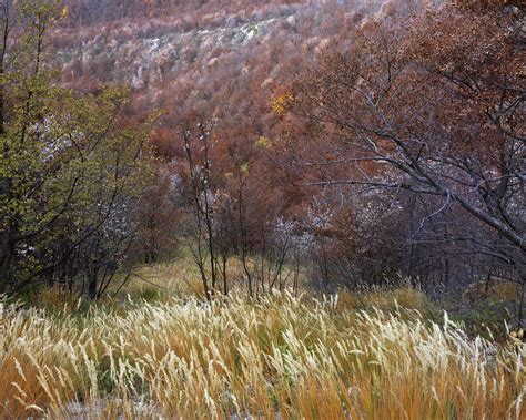 Minefields Bosnia