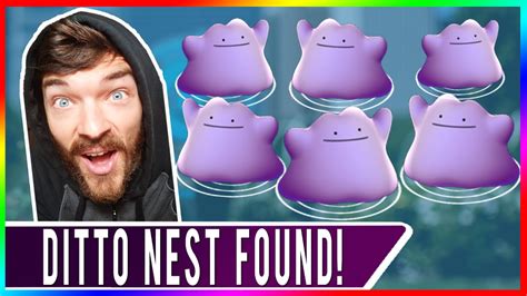 Worlds First Ever Real Ditto Nest Discovered 5 Ditto Caught In 1 Hour