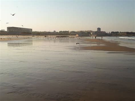 Nascer Do Sol Bonito Na Praia De Matosinhos Imagem De Stock Imagem De