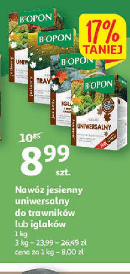 Nawóz jesienny uniwersalny do ogrodu Biopon cena promocje opinie