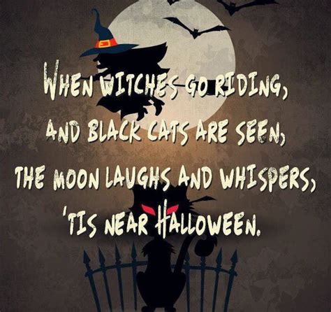 [Top 22] Funny Halloween Quotes, Sayings and Wishes 2021 - Quotes Square