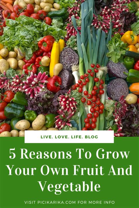 5 Reasons To Grow Your Own Fruit And Vegetable