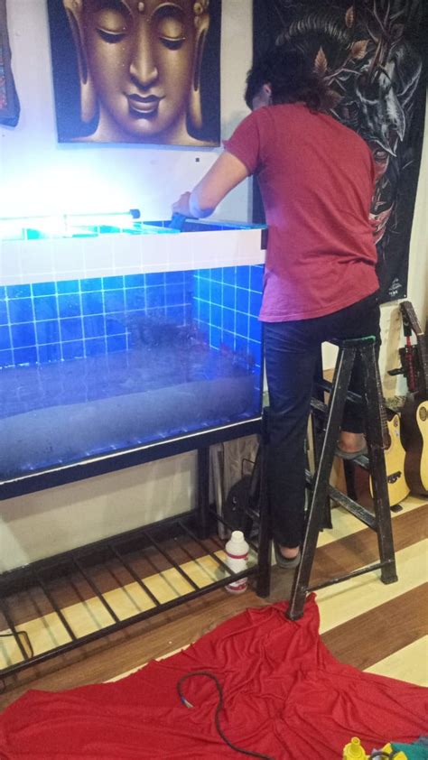 Aquarium Cleaners - Aquarium, Fish Tank Cleaning & Maintenance Kajang ...