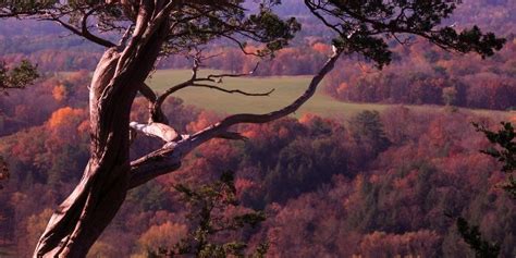 Wildcat Mountain State Park Travel Wisconsin Wisconsin Travel