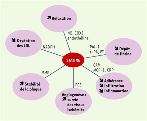 MEDVASC RIETE EXPRESS STATINE Et MTEV