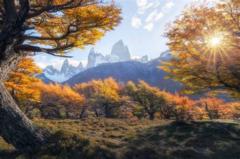 How to Plan a Photography Trip to El Chaltén Patagonia Nature TTL