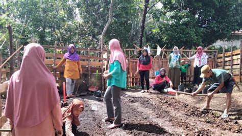 Lakukan Gotong Royong MIN 01 Benteng Sulap Lahan Kosong Jadi Kebun Sayuran